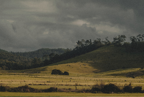 Paeroa Road Trip